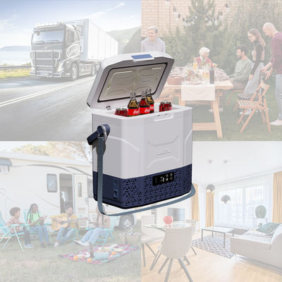 12L Portable Camping Compressor Car Fridge -20 10 C Refrigerator for Home and Camping