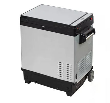 Portable Compressor Solar Fridge with 50L Capacity and DC12V/24V OR 110V-240V Voltage